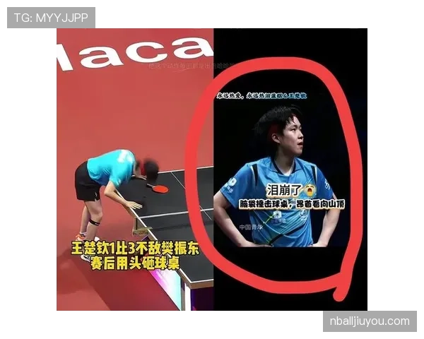 王楚钦背后的生活真不像赛场上那么拼，还藏着让人羡慕的那一面？